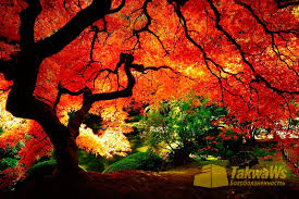 природа красивые картинки на рабочий стол компьютера на весь экран Znayut Li Angely I Shajtany O Namereniyah Osennij Pejzazh Pejzazhi Zhivopisnye Pejzazhi