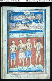 Ms Ashmole 1462 Miscellaneous Medical And Herbal Texts In Latin England Late 12th Century Images Scanned From Bodleia Medieval Art Medieval Late Middle Ages