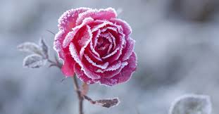 Resultado de imagen para invierno