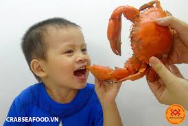 Những Lợi Ích Của Hải Sản Với Sức Khỏe Trẻ Nhỏ