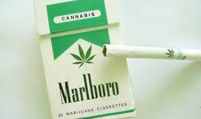Are those marlboro cannabis weed cigarettes real? Marlboro Will Ins Cannabis Geschaft Einsteigen