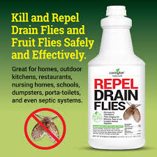 They often favor areas that are not used frequently, like a basement or workshop sink, and are also spotted after a long time away from home. Covington Drain Fly Killer Natural Fruit Fly Treatment Eliminates Odor And Drain Flies For Kitchen And Bathroom Sinks Say Bye To Pesky Drain Flies Fruit Fly Killer Odor Eliminating Amazon In Garden