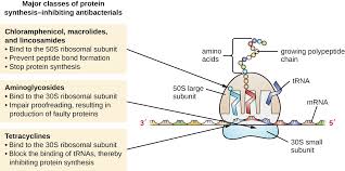 mechanisms of antibacterial drugs microbiology