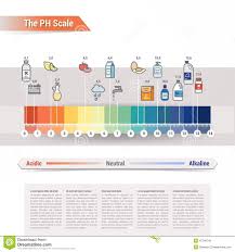 The Ph Scale Stock Vector Illustration Of Examples