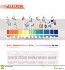 the ph scale stock vector illustration of examples