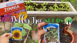 Check spelling or type a new query. Dollar Tree Seeds April 1 2020 Youtube