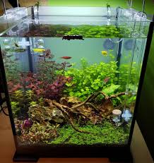 Pin By Matt Coleman On Aquariums Tropical Fish Aquarium Betta Aquarium Aquarium Design