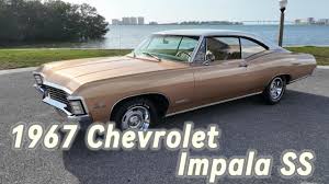 Image result for Sierra Fawn 1967 Chevrolet