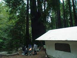 Saddle mountain ranch is a local icon in big sur, and they've now added luxury tents to their existing accommodation options, which includes rv sites, basic campsites and cabins. Our Tent Cabin Picture Of Fernwood Resort Big Sur Tripadvisor