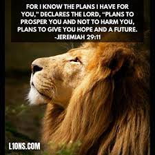 Pin On Lions Motivational Quotes