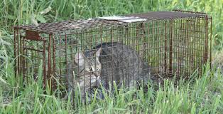 About 29% of these are pest control. Home Page Tru Catch Traps