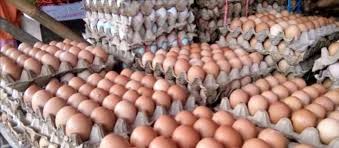 Check spelling or type a new query. Harga Daging Dan Telur Ayam Di Sarolangun Mahal Jektv Co Id Semua Informasi Jambi