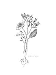 Nº of tattoos 3 size 2.6 in / 6.5 cm (width) wild flowers grow without any human intervention and they can be wildflower bouquet line drawing, hand drawn florals, illustration, botanical line art, wildflowers, wildflower print, botanical print. Spring Wildflower Bouquet Tattoo