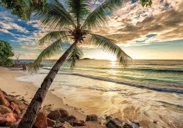 Posted by handayani nurkhasanah posted on januari 11, 2019 with no comments. Tropical Beach Sunset Photo Wallpaper Mural 11732ve