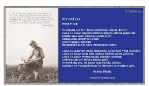Sylvia Plath Sozleri Ile Ilgili Gorsel Sonucu Sylvia Plath