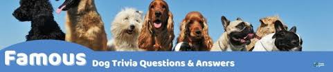 Here is a fascinating dog trivia fact to get started. 71 Fun Dog Trivia Questions And Answers Group Games 101