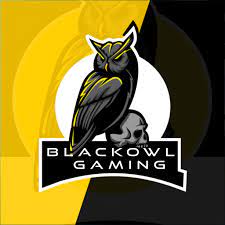 BlackOwl Gaming (@BlackowlGaming) / Twitter