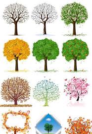 Free Tree Vector Files Tree Drawing Tree Art Tree Painting