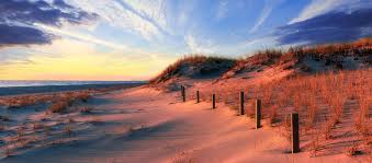 We have reviews of the best places to see in new jersey. Only In New Jersey Home Facebook