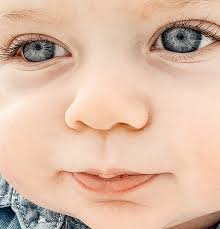 Nathan Harr (@nate_harr)