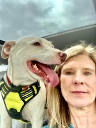 Today's greeter is Hermes. Come by and say hi