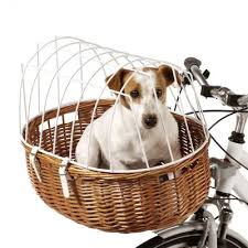 Ein hundefahrradkorb kann auch zur hundebox im auto werden. Aumuller Hunde Fahrradkorb Mit Schutzgitter Gunstig Kaufen Zooplus