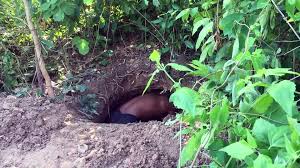 People use it to make many household items such as plates, pots, cubs, and many other things. Build Underground Hidden House In The Forest Video Dailymotion