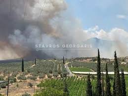 Καιρός καλέντζι, πρόγνωση 7 ημερών. Zocogsztzmsf5m