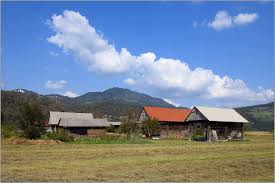 Dulu banyak yang memakai skype untuk melakukan panggilan video. Die Blockstelle Reisebericht Aus Slowenien