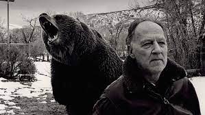Meet a man who communicates with penguins with body language, calms young seals and turns them into live pillows, lies underwater with 8 ton orcas or mature male seals. Grizzly Man Werner Herzog Documentary Facts Mental Floss