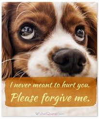 To err is human and to forgive they say is divine. Sorry Messages For Friends Sincere Apology Quotes