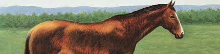 This is a step by step drawing tutorial of a jockey riding his horse. How To Draw Animals Free Step By Step Tutorials Artists Network