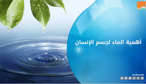 بالفيديو تعرف على بعض فوائد الماء لجسم الإنسان