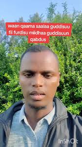 Waqaami Saalaa Guddisuu fii Furdisu: Qabdus Oromoo TikTok