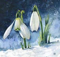 Landscape Snowdrops By Fran Mcgarry Floral Watercolor Botanical Painting Watercolor Art