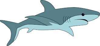 Maybe you would like to learn more about one of these? Shark Clipart Free Download Transparent Png Creazilla