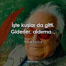 tek sen kalirsin yalniz basina herkes gider edebiyat alintilar kitap kenari