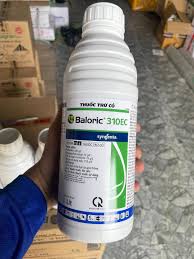 Baloric 310EC