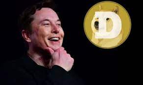 Dogecoin grafik ve dogecoin tl verisine ulaşın. Dogecoin Kac Tl Oldu