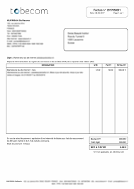 Modèles de facture auto entrepreneur téléchargeables. Myae Pour Windows