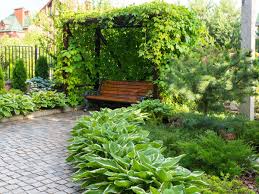 Sichtschutz Mit Hecken Kletterpflanzen Und Ziergrasern Kletterpflanzen Landschaftsdesign Pflanzen