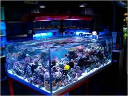 Aquarium Light 48 On Winlights Com Deluxe Interior Lighting Design