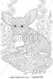 Free stuffed animal patterns can be sized to make your animal any size and reprinted to use as often as you choose. Coloring Page Fennec Vector Photo Free Trial Bigstock
