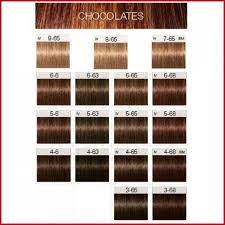 Igora Hair Color Shades Igora Hair Color Shades 621277 Schwarzkopf Igora Royal T Color Hair Schwarzkopf Hair Color Schwarzkopf Hair Colour Igora Hair Color