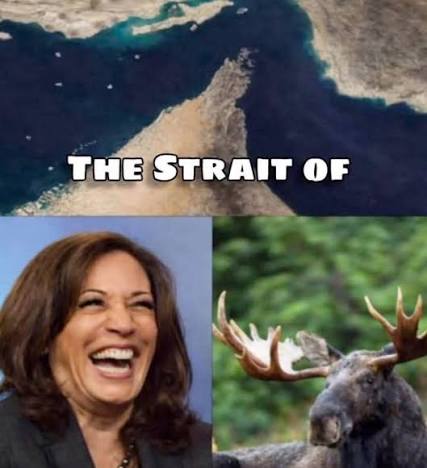 😂