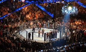 UFC 325: Alexander Volkanovski vs. Diego Lopes 2 Preview, Odds, Prediction