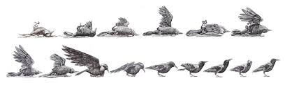 This video comes from the same artist as above, yet here she uses a significantly different method to conceptualize the pose. Writing Topography The Marion Mccain Exhibition Of Contemporary Atlantic Art Philippa Jones