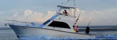 You can expect to catch a monster snook or a beautiful bull redfish. Charter Boat Shark Fishing Charter For Hire Sarasota Fl