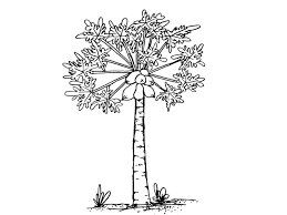 109 Beragam Sketsa Gambar Pohon Mudah Pohon Sakura 3d Kelapa Bahkan ada beberapa film animasi yang suasana pemandangannya melekat dalam ingatan. sketsa gambar pohon mudah pohon sakura