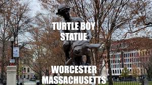 Image result for turtleboy worcester